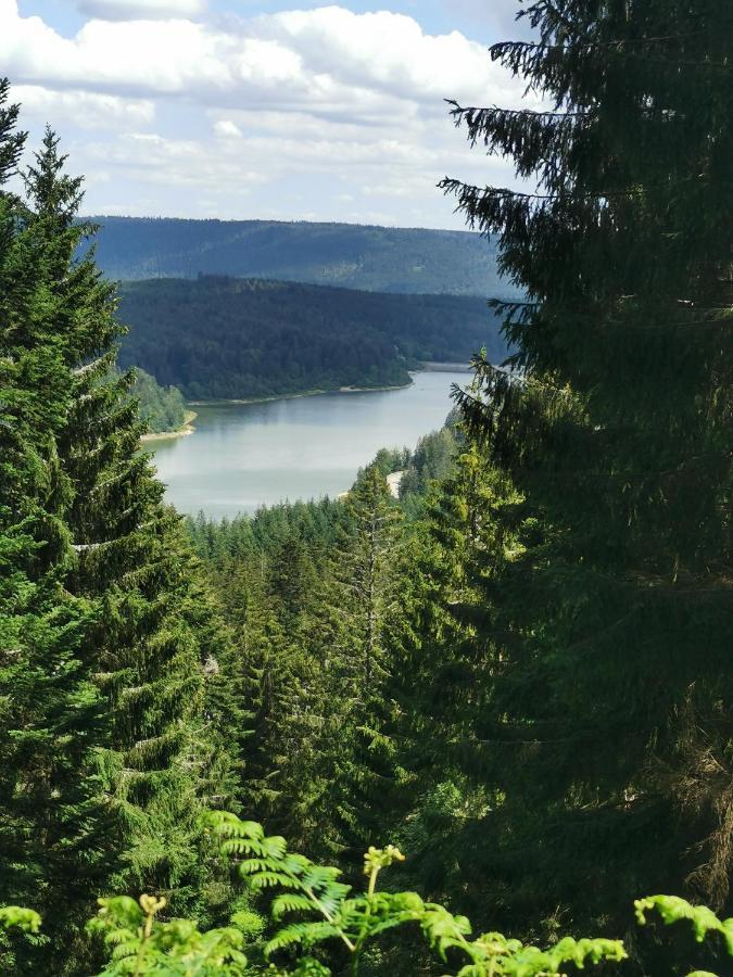 Naehe Nationalpark Appartement Baiersbronn Buitenkant foto