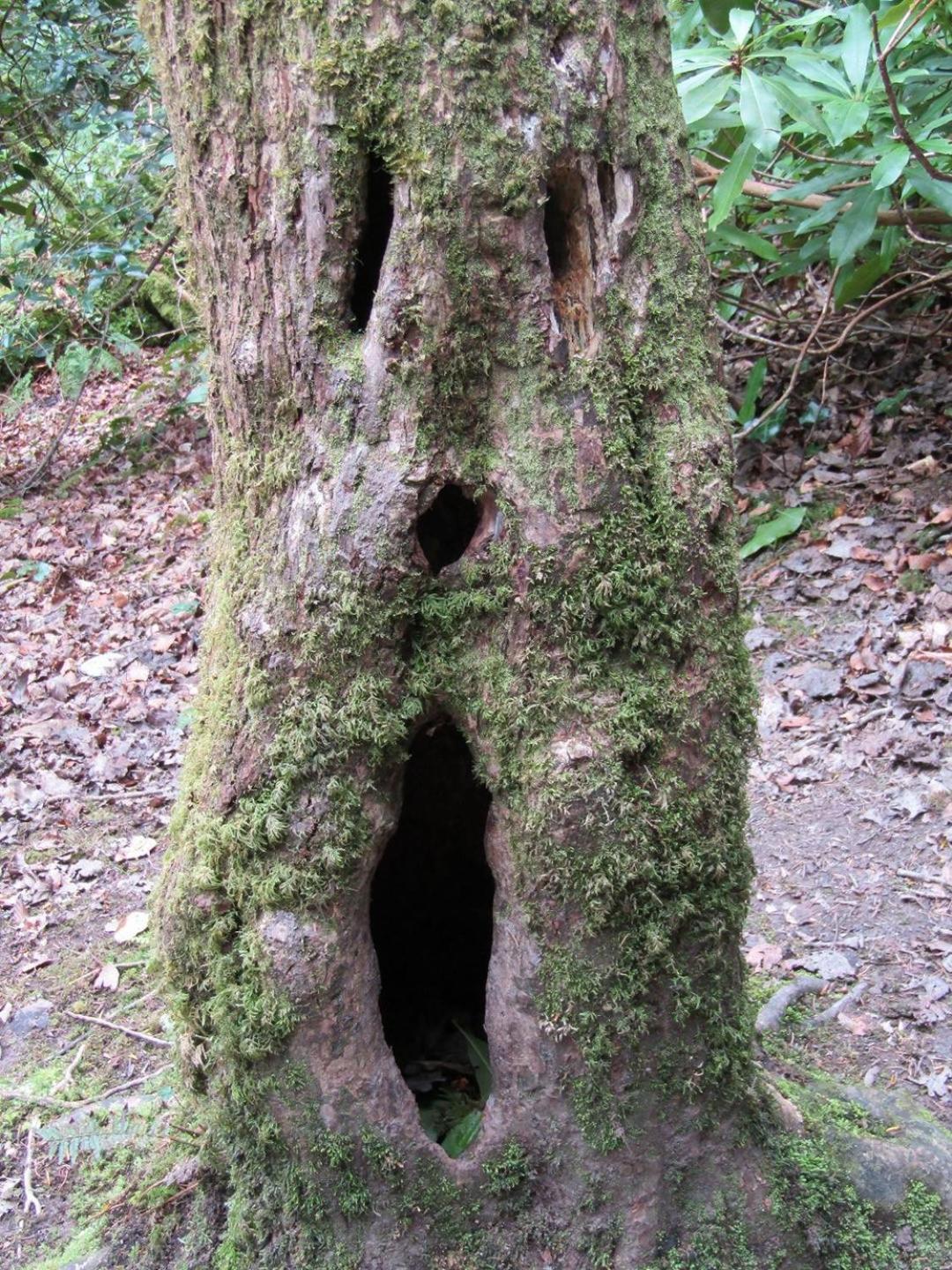 Naehe Nationalpark Appartement Baiersbronn Buitenkant foto