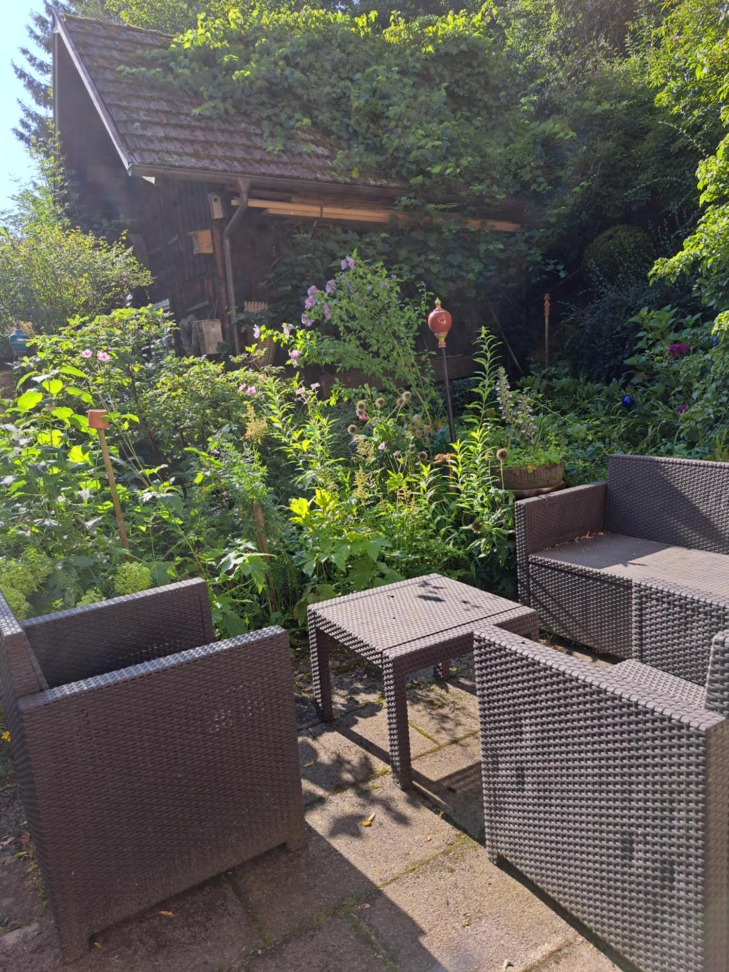 Naehe Nationalpark Appartement Baiersbronn Buitenkant foto