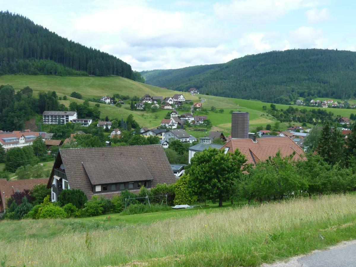 Naehe Nationalpark Appartement Baiersbronn Buitenkant foto