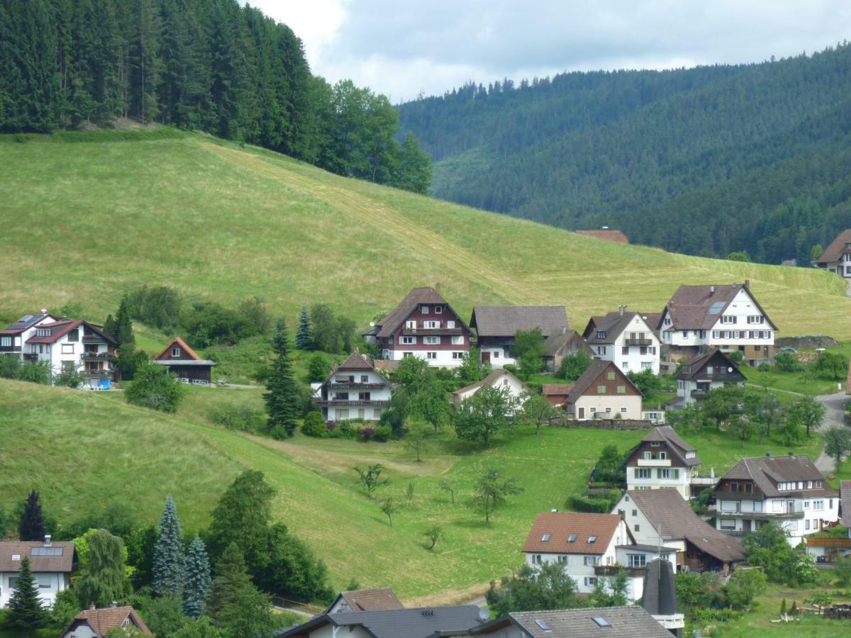 Naehe Nationalpark Appartement Baiersbronn Buitenkant foto