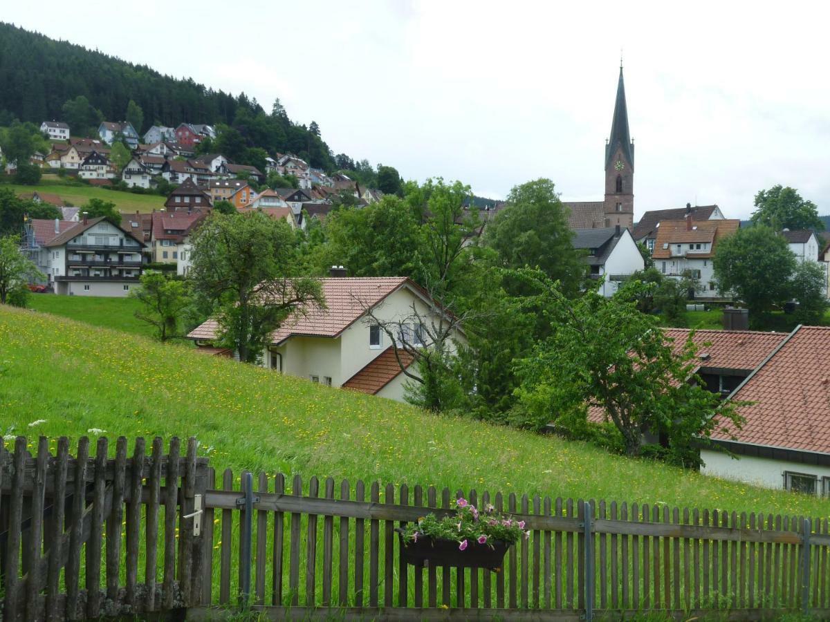 Naehe Nationalpark Appartement Baiersbronn Buitenkant foto