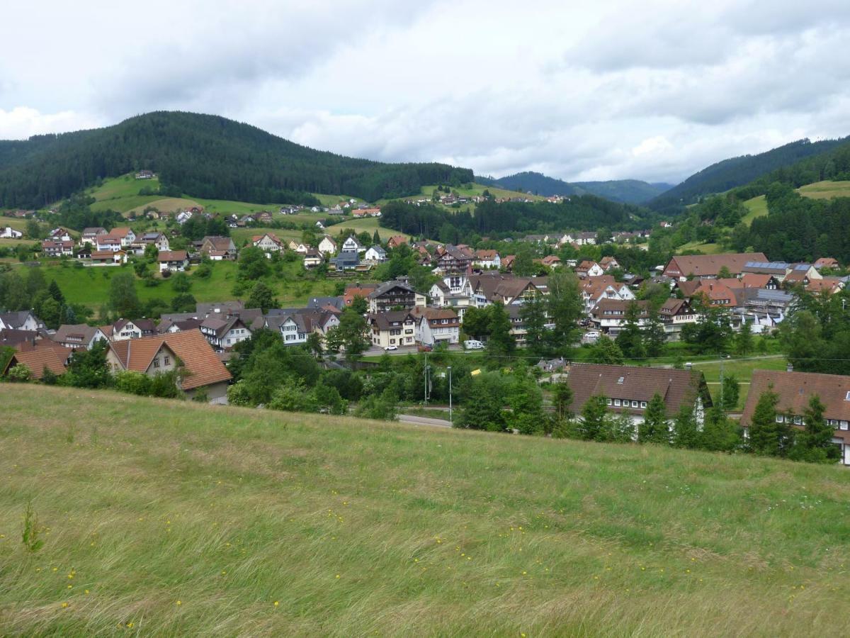 Naehe Nationalpark Appartement Baiersbronn Buitenkant foto